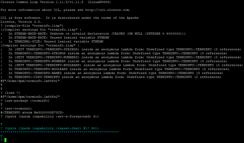 running terminfo.lisp